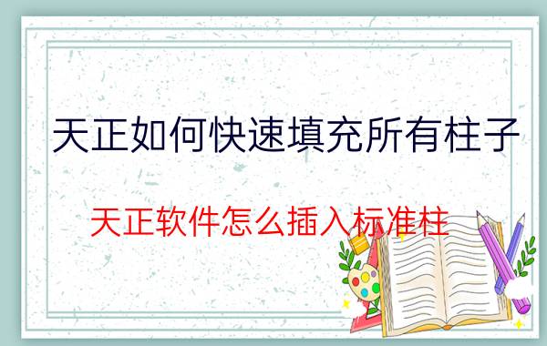 天正如何快速填充所有柱子 天正软件怎么插入标准柱？